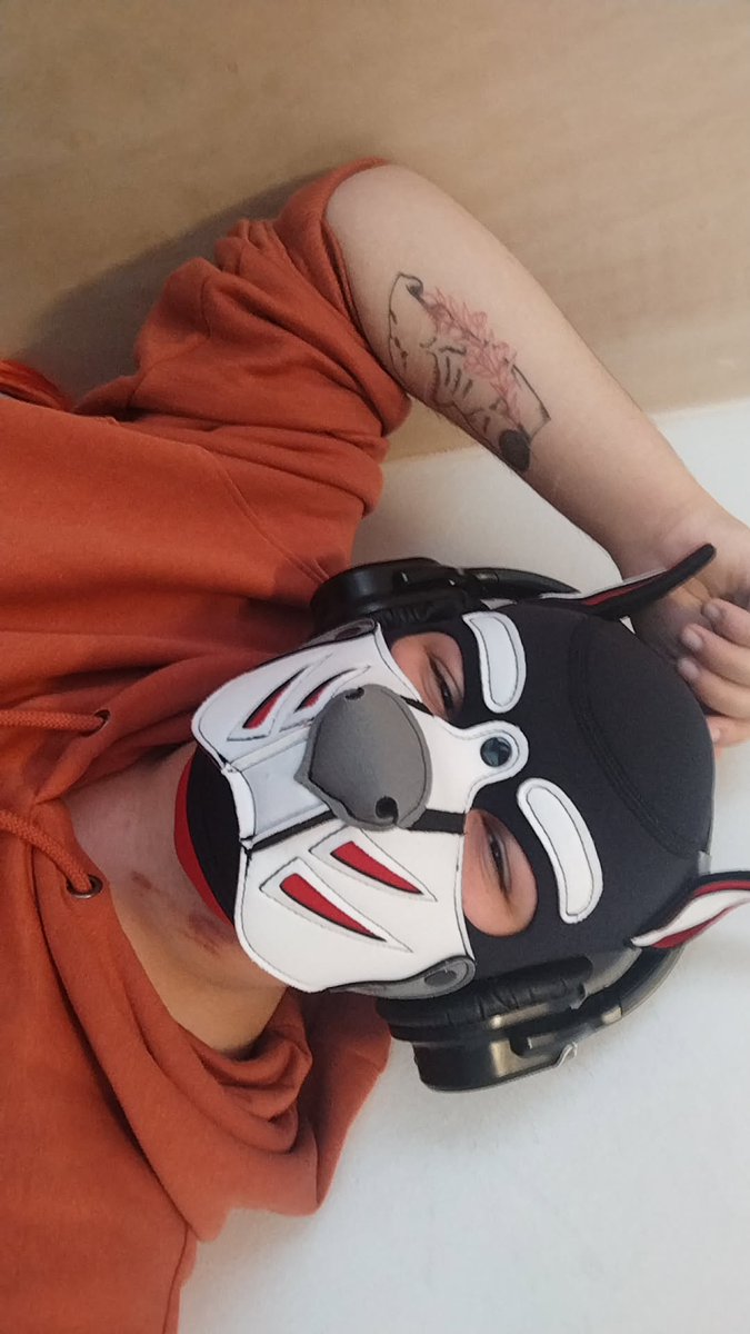 ✩🌴Mutt_Spike🌴✩ tweet media