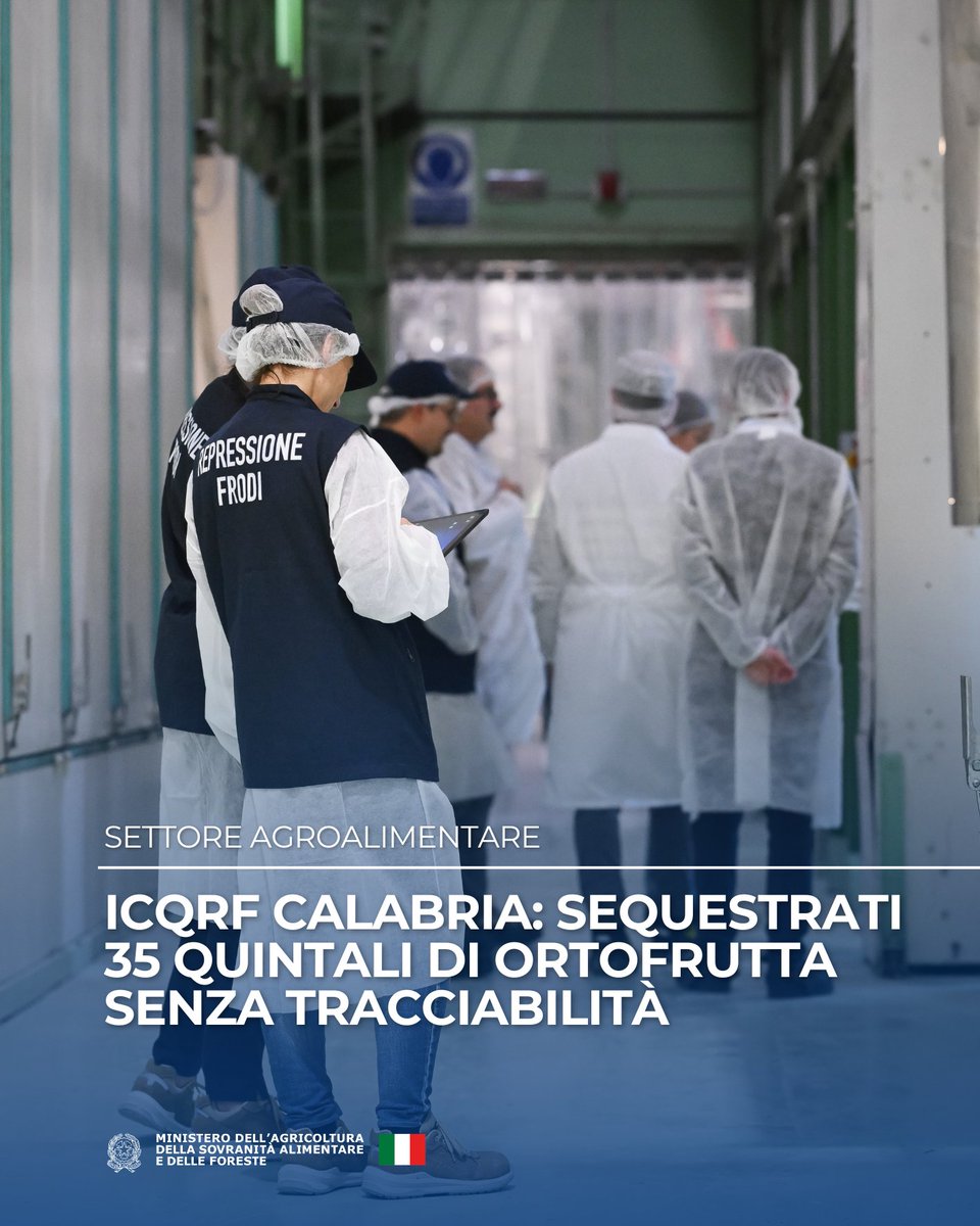 SocialMasaf's tweet image. ICQRF Calabria: sequestrati 35 quintali di ortofrutta senza tracciabilità. Pesche nettarine e albicocche orange rubis prive delle informazioni obbligatorie su tracciabilità e origine. Difendere l’identità dei prodotti significa garantire trasparenza, sicurezza e qualità🇮🇹