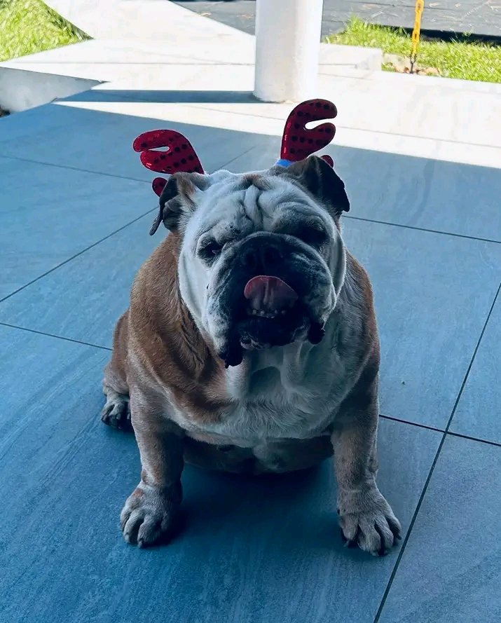 She was so amazing and fun when I'm around