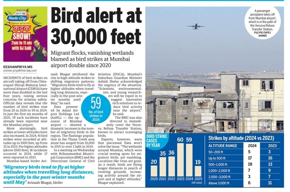 Eeshanpriya's tweet image. #Mumbai - Bird strikes on aircrafts are rising.
Official data shows instances have more than doubled in 4 years. 
We saw:
59 bird strikes: 2024
20 bird strikes: 2022
In 6 months of 2025: 19 bird strikes
mid-day.com/mumbai/mumbai-…
#airindiaplanecrash #flightsecurity