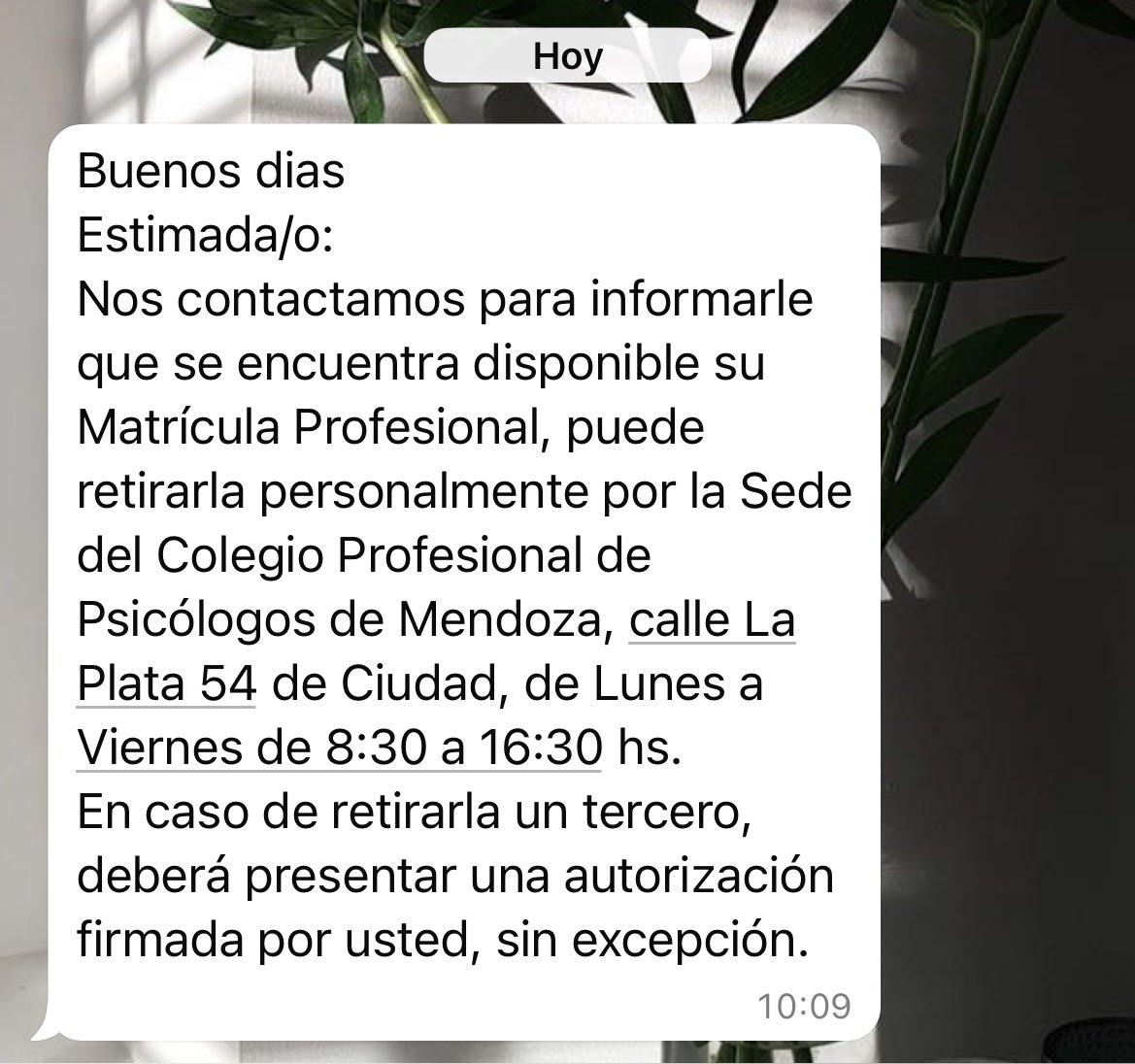 msolbritos's tweet photo. Parece que mis deseos son órdenes. 
Me llegó este mensajito 🥹 https://t.co/7pR7cuz4tb