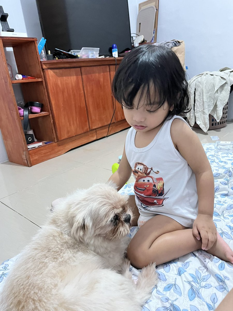 PrettyPaulaChu's tweet photo. Ayaw talaga lambingin. Tinitignan lang 😆 https://t.co/T2h8nPDplZ