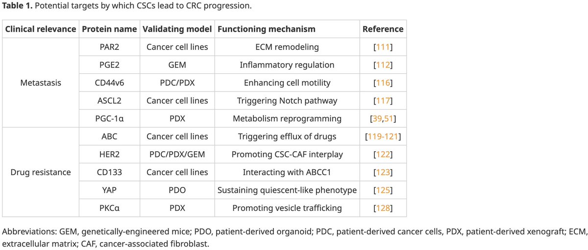CHP_journal's tweet photo. What’s inside this timely CRC stemness review?
🧠 Technologies for CSC discovery
🔬 Stromal, metabolic, and microbial niche interactions
🔁 Key regulators: Wnt, Notch, Hedgehog, BMP
💊 Therapeutic challenges & resistance
https://t.co/gZoXt1eUCO
#ColorectalCancer #CancerStemCells #TumorMicroenvironment
#Stemness
#CHPJournal