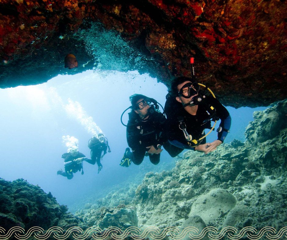 costanavarino's tweet image. Along the Messinian coast, the sea carries stories of the land. Swim through light, explore crystal-clear waters, and discover the quiet beauty.
#CostaNavarino #BePartOfOurStory #NavarinoMoments #MessinianAuthenticity #Messinia #Peloponnese #Diving #ScubaDiving #AquaDiversClub
