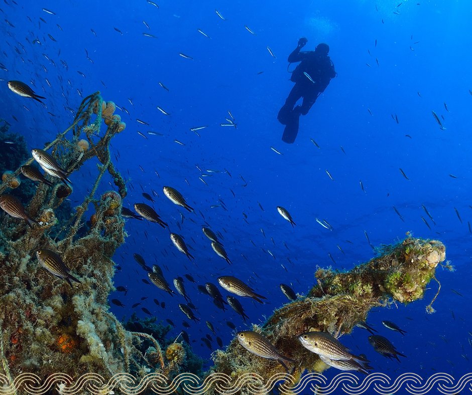costanavarino's tweet image. Along the Messinian coast, the sea carries stories of the land. Swim through light, explore crystal-clear waters, and discover the quiet beauty.
#CostaNavarino #BePartOfOurStory #NavarinoMoments #MessinianAuthenticity #Messinia #Peloponnese #Diving #ScubaDiving #AquaDiversClub