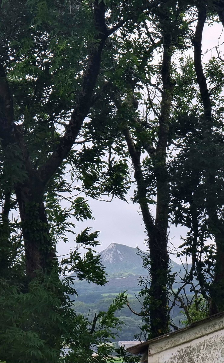 Gareth Evans Gammonologist ⚓️⚓️ tweet media