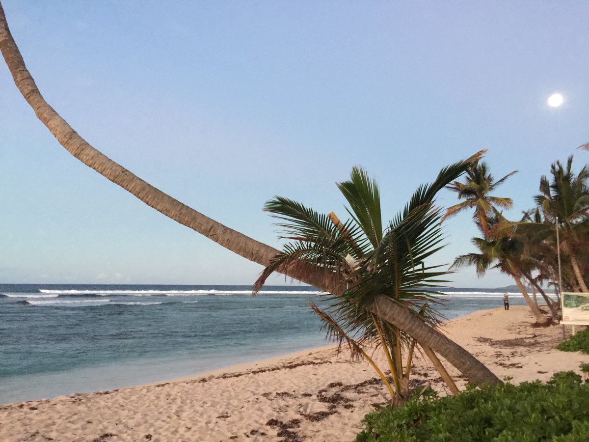 Good Morning 🌴 X peeps