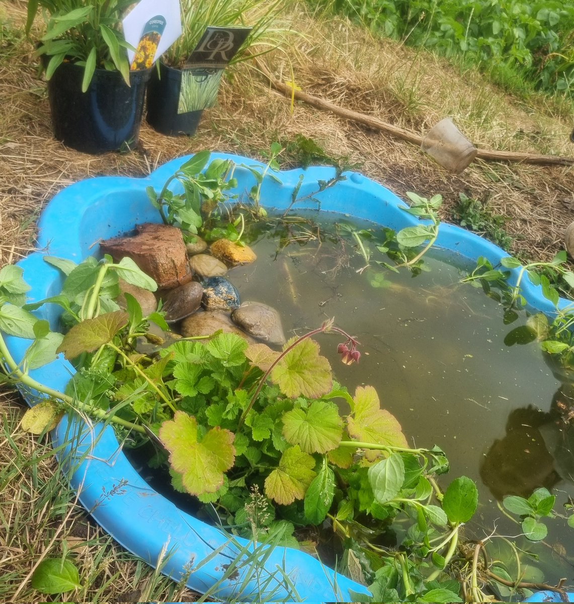 Charlie Smith tweet media