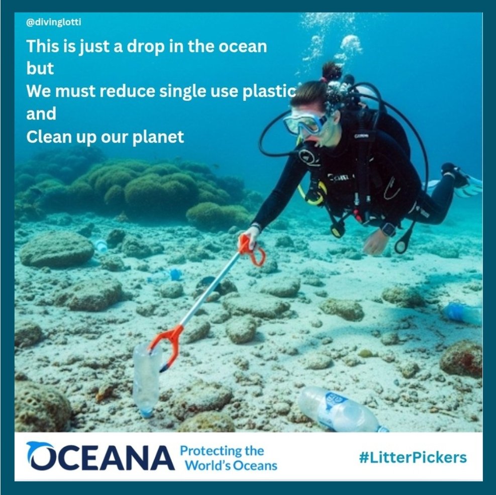 divinglotti's tweet image. One Minute Brief of the Day:
Create posters to advertise #LitterPickers 🗑️ @OneMinuteBriefs I make no apology for promoting @oceana &amp;amp; drawing attention to the plastic pollution in our oceans 🌊