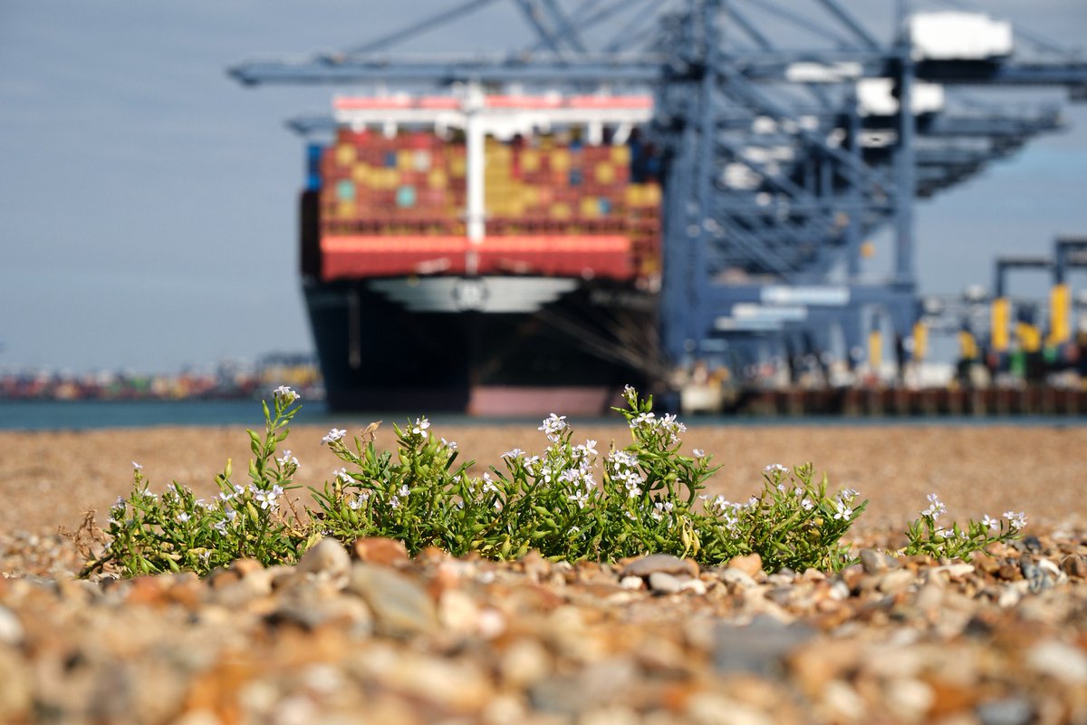 Porttalk tweet media