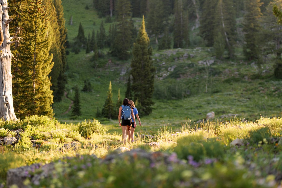 USUGymnastics's tweet image. ☀️ 𝒮𝓊𝓂𝓂𝑒𝓇 𝓁𝑜𝑜𝓀𝓈 𝑔𝑜𝑜𝒹 𝑜𝓃 𝓊𝓈.
From sunrise hikes to golden hour strolls, there’s no place like campus in the summertime. 🌿🌸