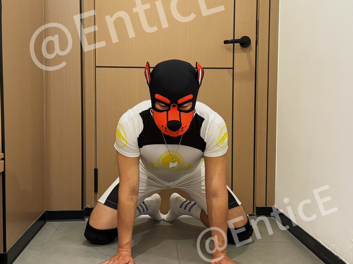 户外遛狗前的准备