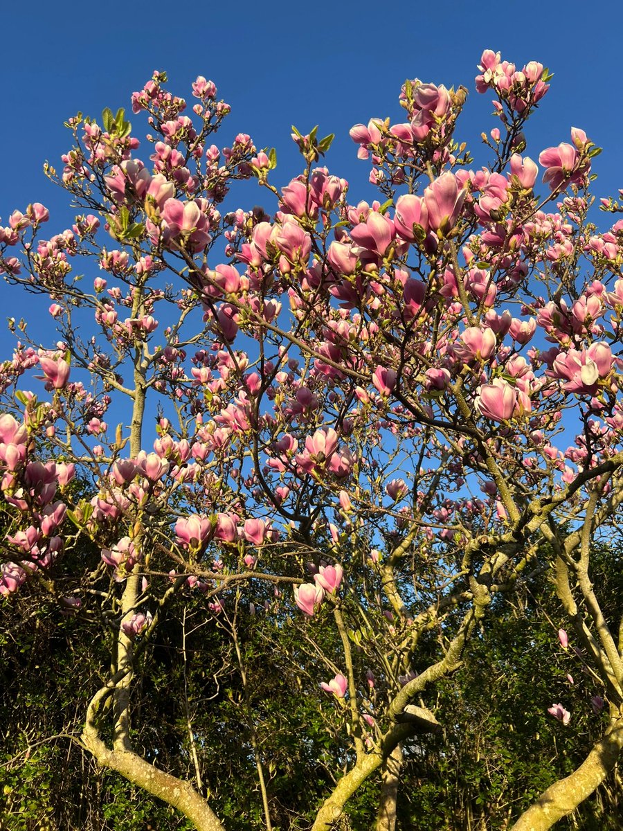 The treasure from my Gallery 📷❣️