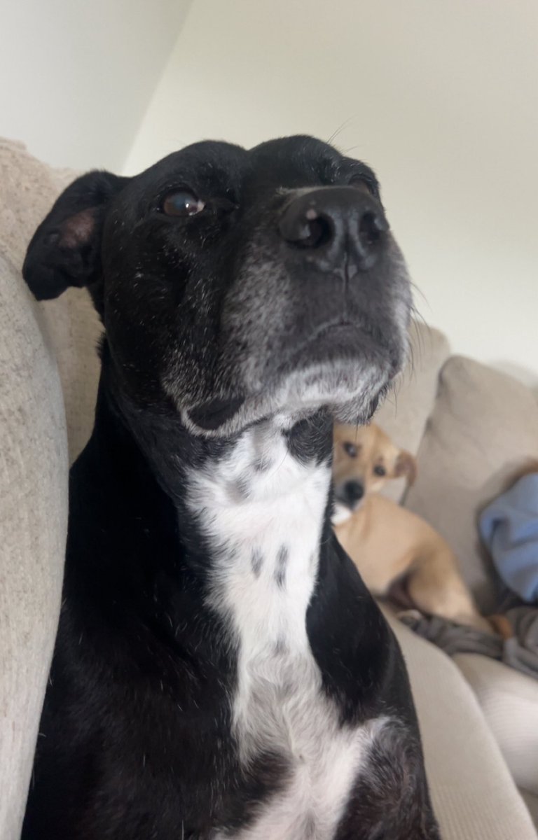 Scott Carpenter tweet media