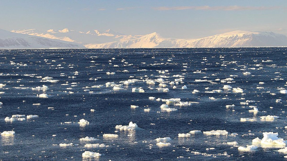 PlymUni's tweet image. Tiny ocean migrants play a massive role in Southern Ocean carbon storage, reveals groundbreaking study🌊
plymouth.ac.uk/news/tiny-ocea…