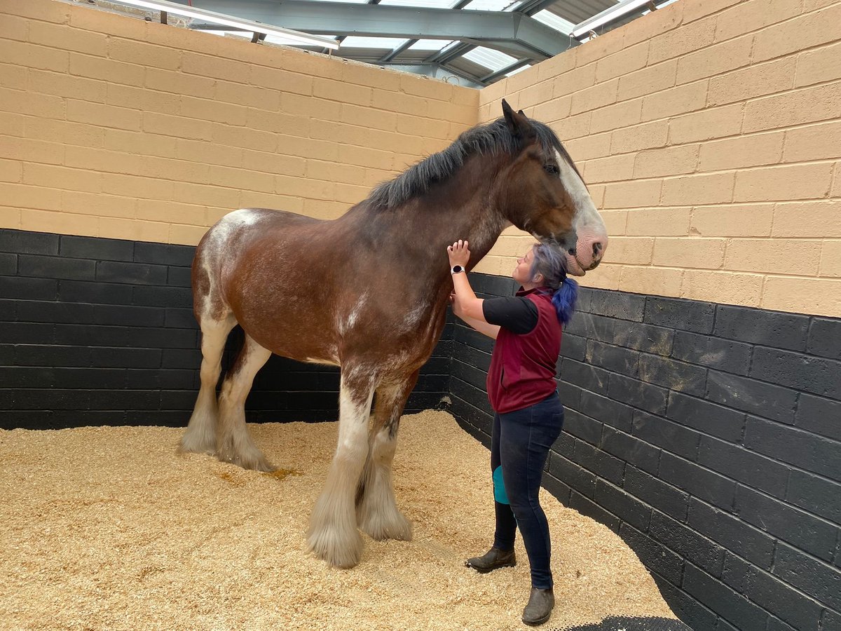 BVCSchool's tweet image. Year 3 had an amazing day at the National Coal Museum! They went underground to see what life was like for miners and heard some amazing stories from the fantastic mine guides. They explored the colliery buildings to see how mining worked. The pit ponies were a favourite!