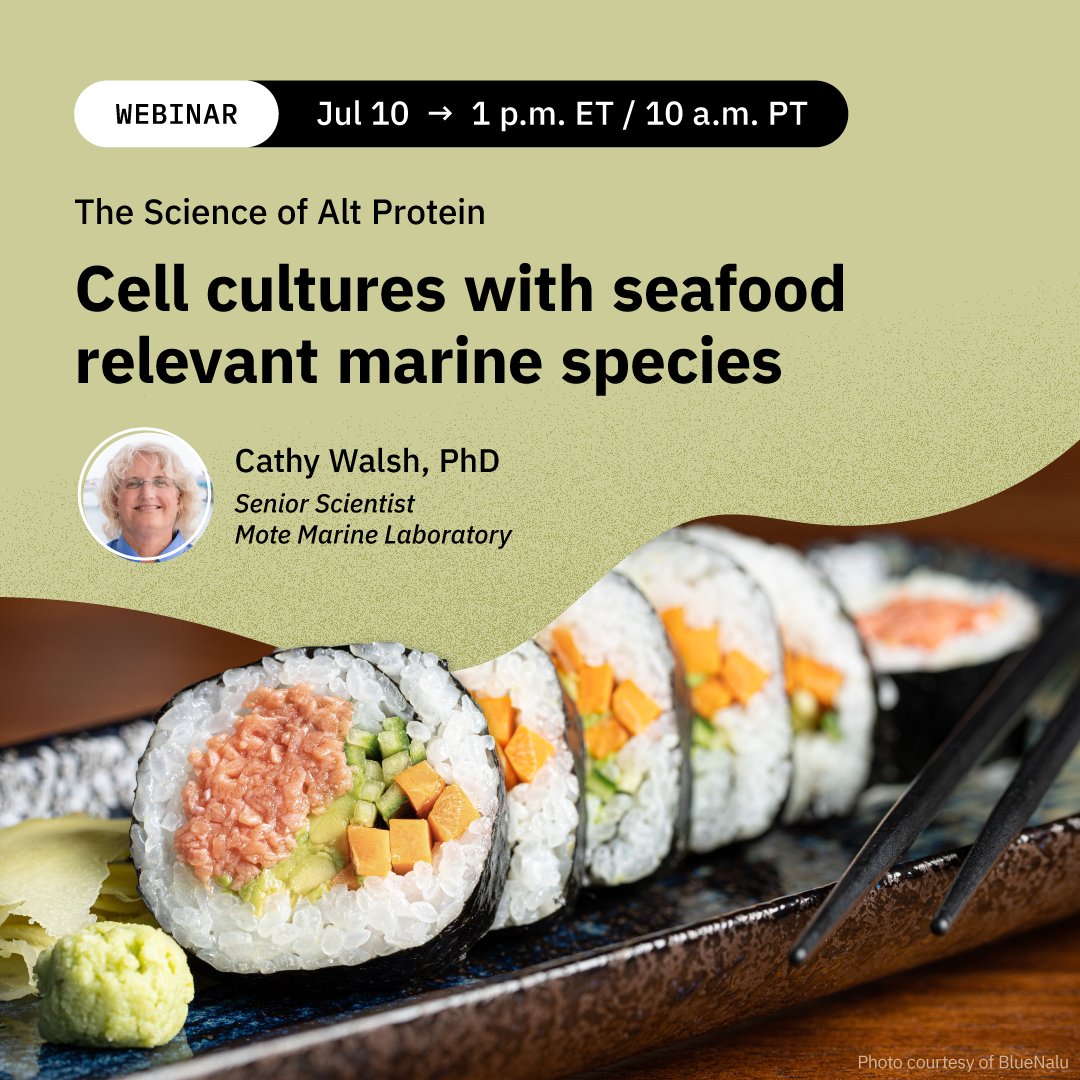 🦐🐟 What does it take to establish stable cell lines from marine species for cultivated seafood applications? Join us on July 10 for a technical deep dive with Dr. Cathy Walsh of Mote Marine Laboratory.

Register: zoom.us/webinar/regist…