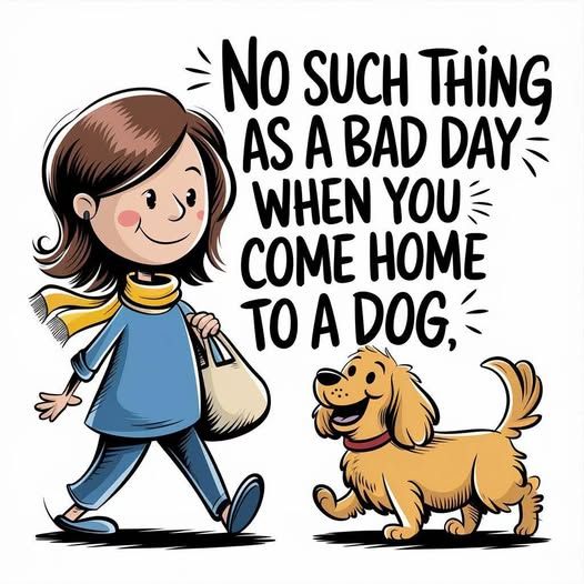 𝕏 Dogs (@_xdogs) on Twitter photo 