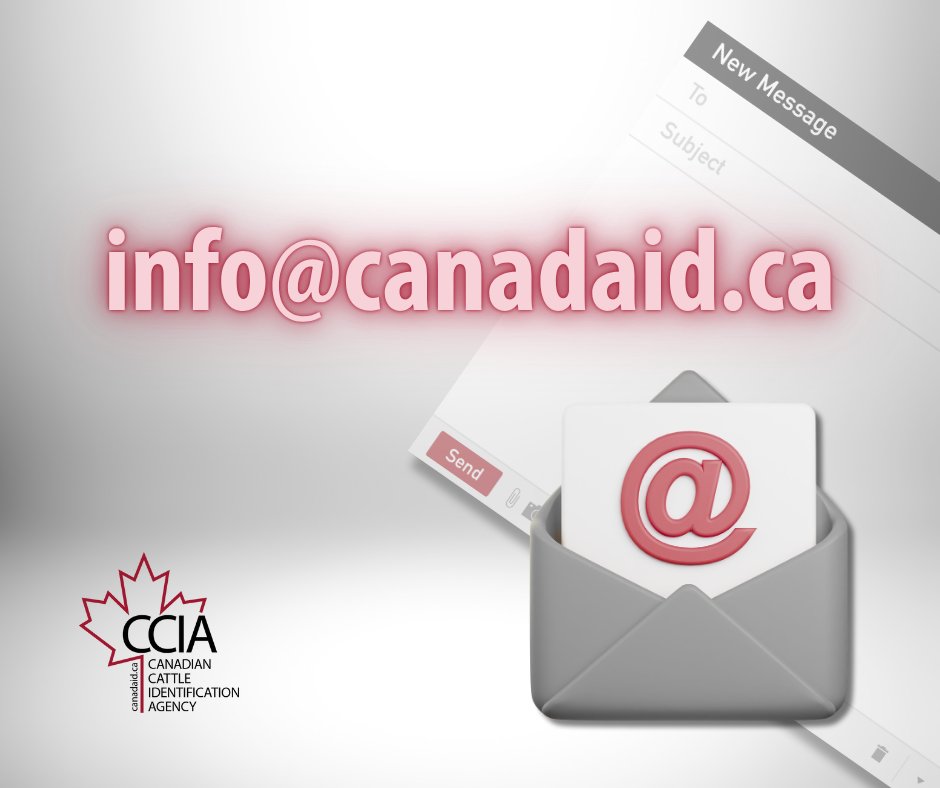 CCIA (Canadian Cattle Identification Agency) (@ccia_canada) on Twitter photo Reminder:
All dealer inquiries, excluding accounting questions, should be sent to info@canadaid.ca. The fieldspecialist@canadaid.ca address will be discontinued effective July 1, 2025. Reminder:
All dealer inquiries, excluding accounting questions, should be sent to info@canadaid.ca. The fieldspecialist@canadaid.ca address will be discontinued effective July 1, 2025.