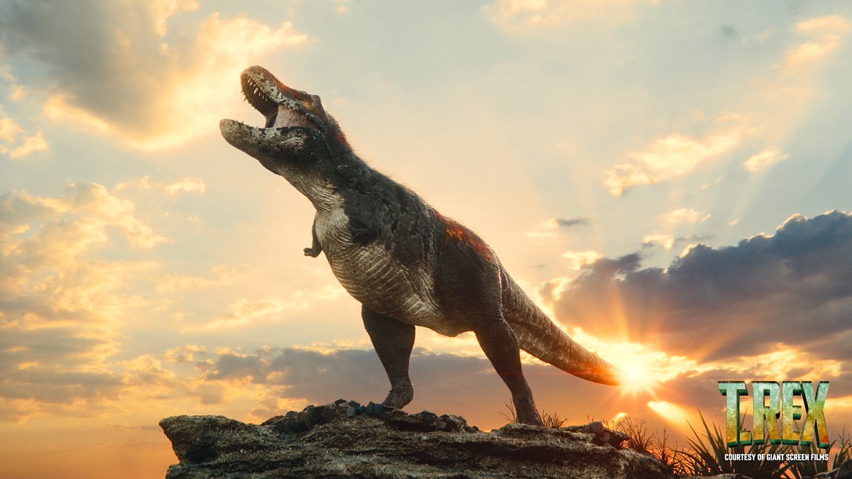 sciencemuseum's tweet image. Three kids discovering one of the largest complete T-Rex fossils in North America? It’s more likely than you think… ⛏️
Find out more in our latest roar-some IMAX documentary T-Rex 3D, an epic big-screen adventure delving into the world of history’s most famous dinosaur 🦖
🎟️…