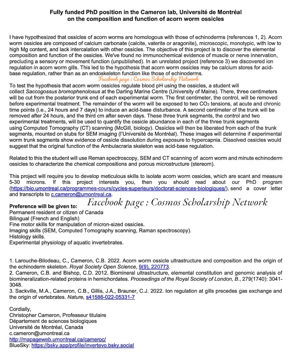 Fully funded PhD position in the Cameron lab, Université de Montréal, Canada on the composition and function of acorn worm ossicles