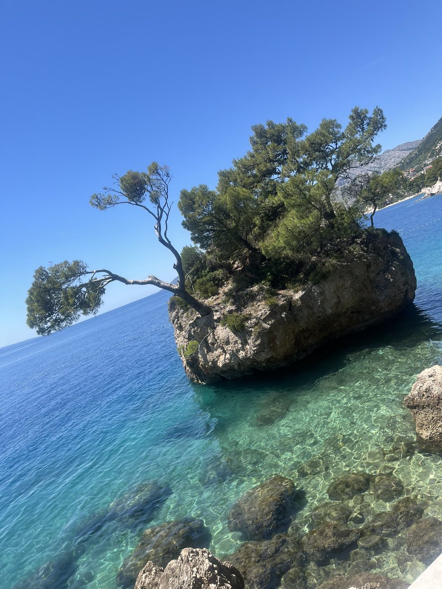 Harry Boardman tweet media