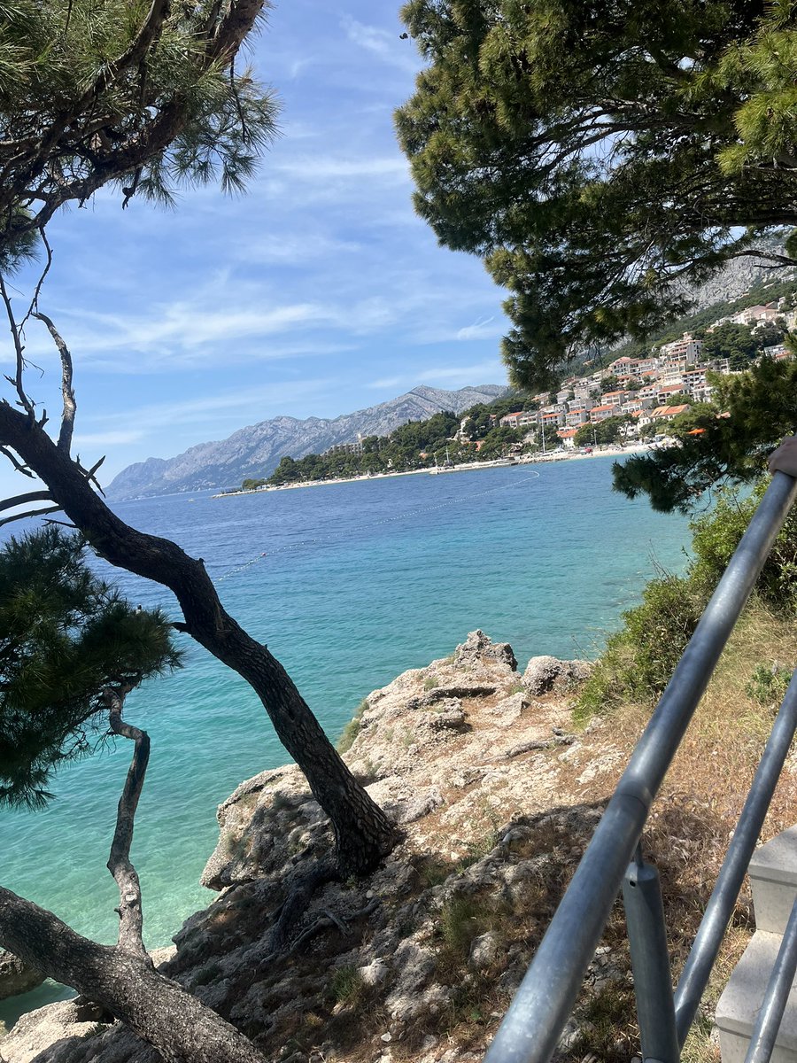 Harry Boardman tweet media