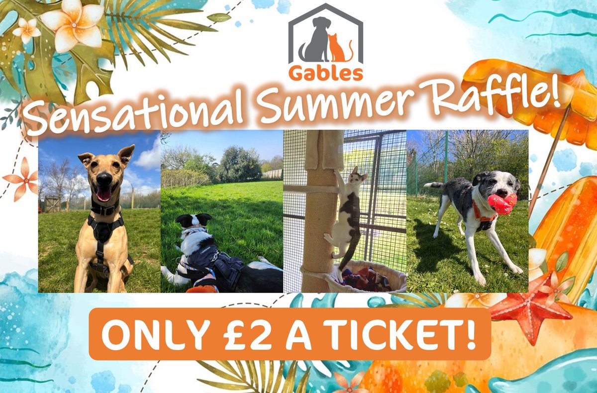 ☀️GRAB YOUR TICKETS TO OUR SUMMER RAFFLE NOW! ☀️

justgiving.com/campaign/gable…

ONLY £2 A TICKET!

Have a sizzling summer of fun with lots of prizes for everyone! All proceeds go to helping the animals in our care! 🐾

#plymouth #plymouthuk #plymouthraffle