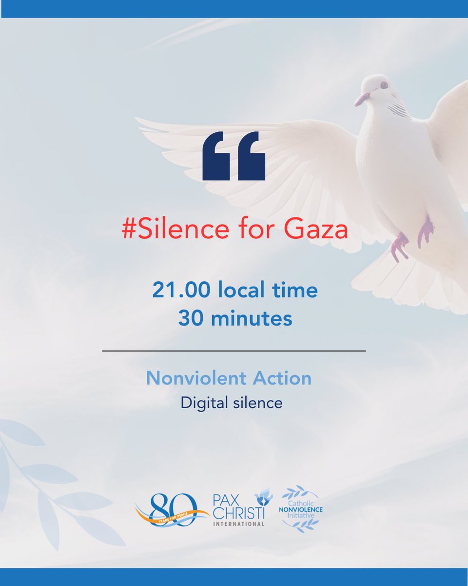 Nonviolent action. 30 minutes of digital silence. Join us! 
This is a coordinated digital campaign of the “Silence for Gaza” movement.  A daily digital break for 30 minutes every evening, from 21:00 (9:00PM) to 21:30 (9:30 PM) local time in each country.