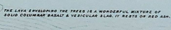 Got this today  - orderd from the nls.ac.uk web site. Sheet 43 ( Western Mull) of the Geological Survey, 1925. Love the note regarding MacCullochs tree! It is indeed wonderful!
