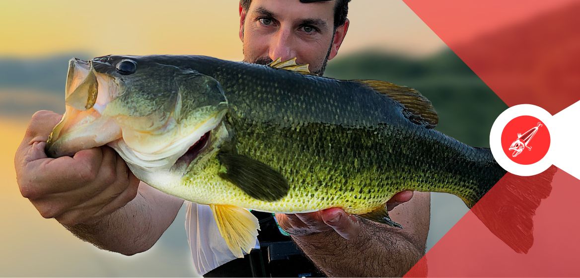Attacchi a galla, emozioni forti e tanta tecnica: il topwater al black bass è pesca pura!

Guida completa con esche, attrezzatura e consigli 👉 fishingmania.it/pesca-topwater…

#blackbass #pesca #topwater #fishingitalia #bassfishing