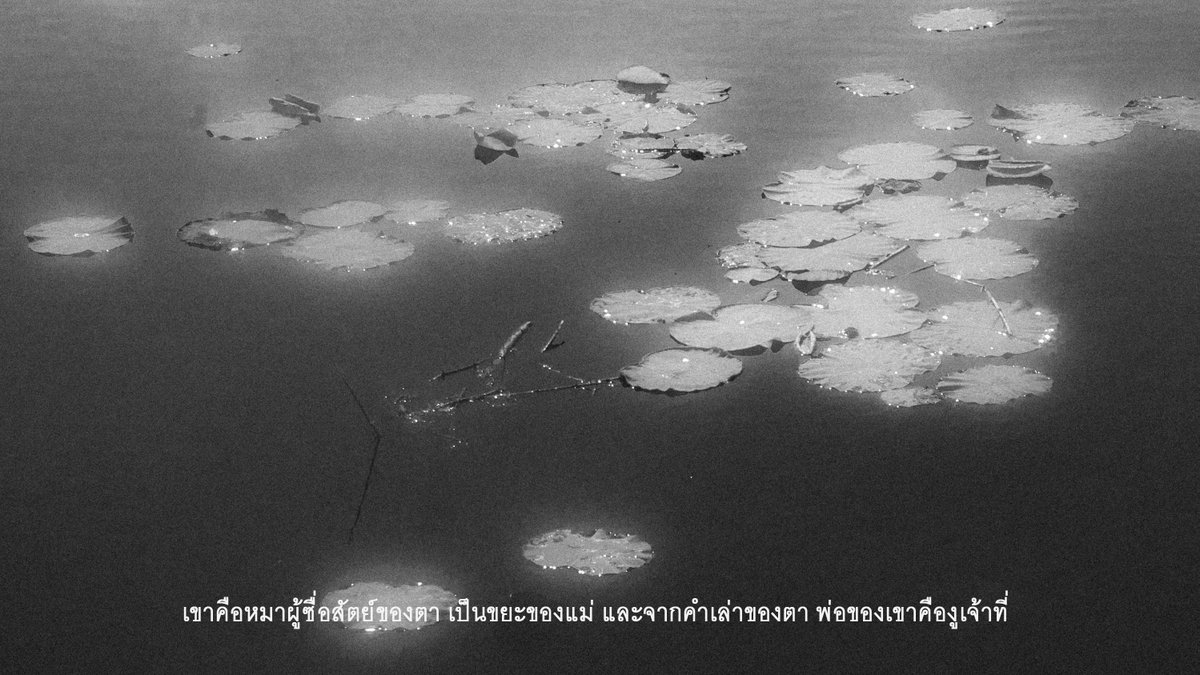 #เพ้อฝันนิรันดร์กัป 

—readawrite.com/a/74cf2ee8ba8f…