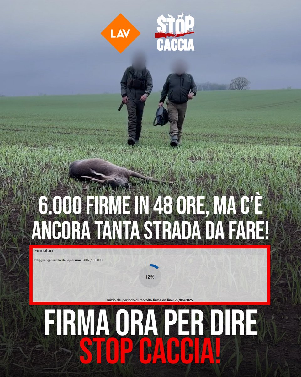 Primo traguardo raggiunto: in poco meno di 48 ore più di 6mila persone hanno firmato nostra proposta Legge di Iniziativa popolare per abolire la caccia. Ma dobbiamo raggiungere 50mila firme in 6 mesi. Aiutaci e firma anche tu 👉lav.it/stop-caccia?ut…