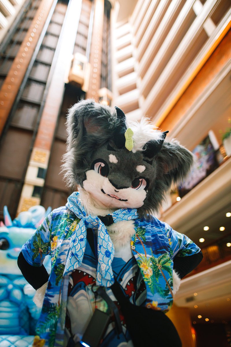 #FursuitFriday 

I need more chances to go out and take photos