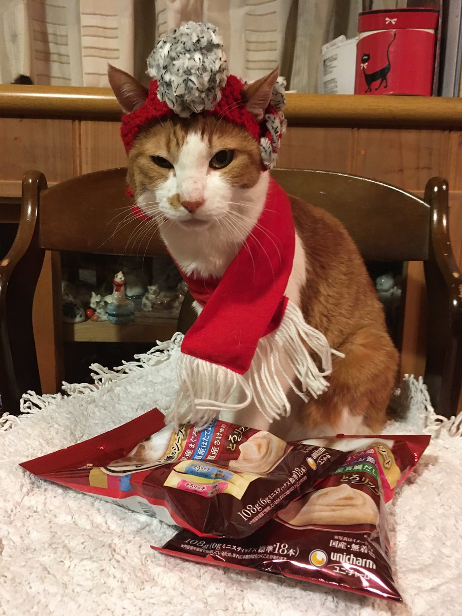 The true identity of the fat cat is revealed! Honestly cool