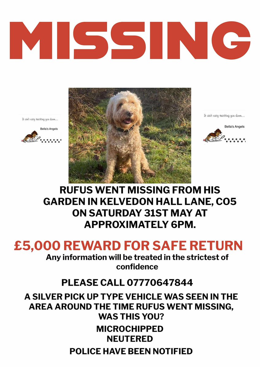 Sue Garrad (@sues2311) on Twitter photo Please help this boy home ❤️
£5,000 REWARD FOR SAFE RETURN
<a href="/JacquiSaid/">Dogs of Tooting 1</a> <a href="/pettheftaware/">Pet Theft Awareness</a> <a href="/MissingPetsGB/">Missing Pets GB</a> <a href="/PcsharonPage/">My Animal Page</a> <a href="/LostDogsCo/">Lost Dogs</a> <a href="/lostdogrescue/">Lost Dog & Cat Rescue</a> <a href="/ollymurs/">Olly Murs</a> <a href="/Essex_Echo/">Essex Echo</a> <a href="/BBCEssex/">BBC Essex</a> <a href="/Missingdogs1/">Lost and found Dogs</a> Please help this boy home ❤️
£5,000 REWARD FOR SAFE RETURN
<a href="/JacquiSaid/">Dogs of Tooting 1</a> <a href="/pettheftaware/">Pet Theft Awareness</a> <a href="/MissingPetsGB/">Missing Pets GB</a> <a href="/PcsharonPage/">My Animal Page</a> <a href="/LostDogsCo/">Lost Dogs</a> <a href="/lostdogrescue/">Lost Dog & Cat Rescue</a> <a href="/ollymurs/">Olly Murs</a> <a href="/Essex_Echo/">Essex Echo</a> <a href="/BBCEssex/">BBC Essex</a> <a href="/Missingdogs1/">Lost and found Dogs</a>