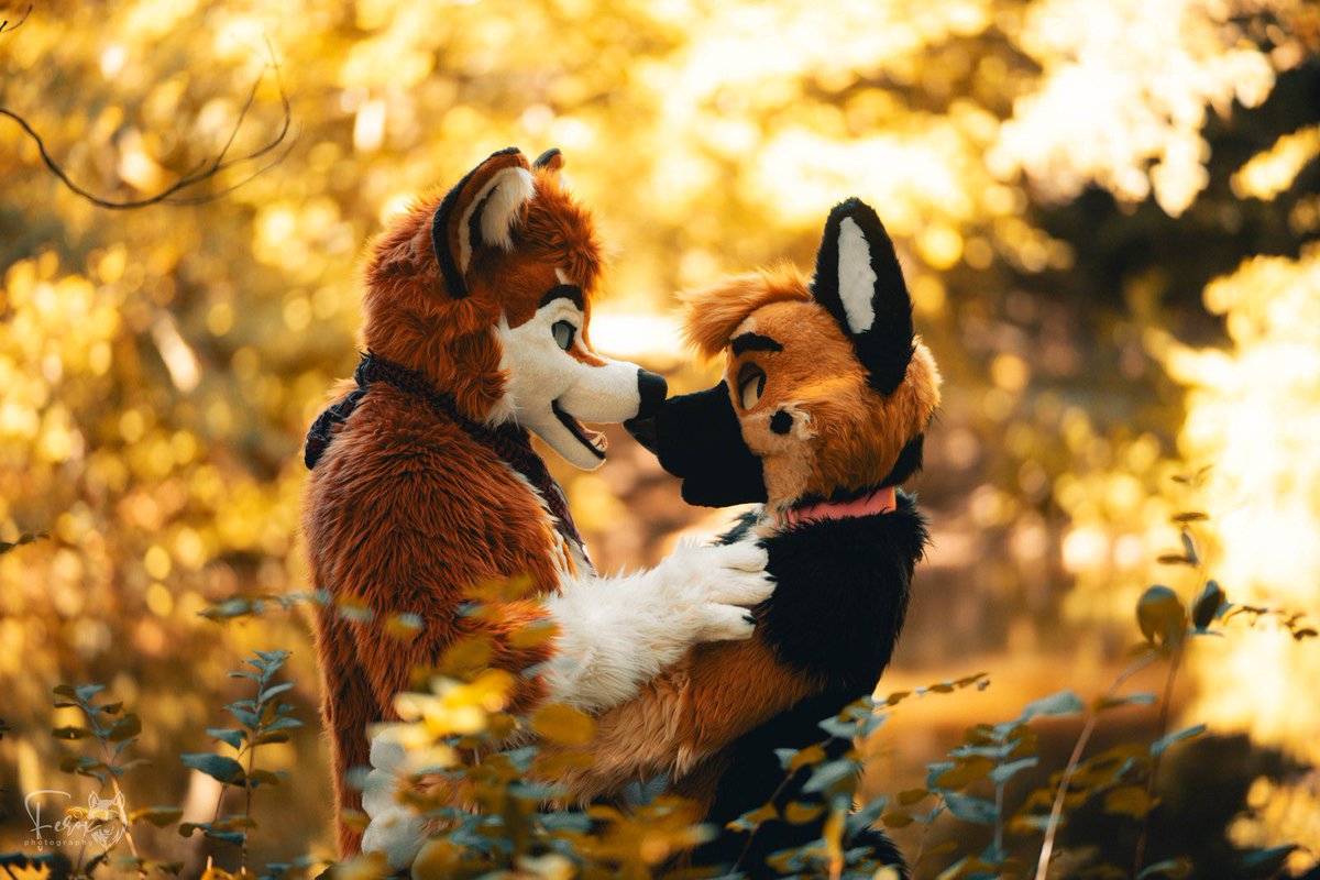Himaru_Shepherd's tweet image. Plzz donβt eat my nose βΊοΈ
π @FloekeWusky
πΈ@xferoxy
#FursuitFriday