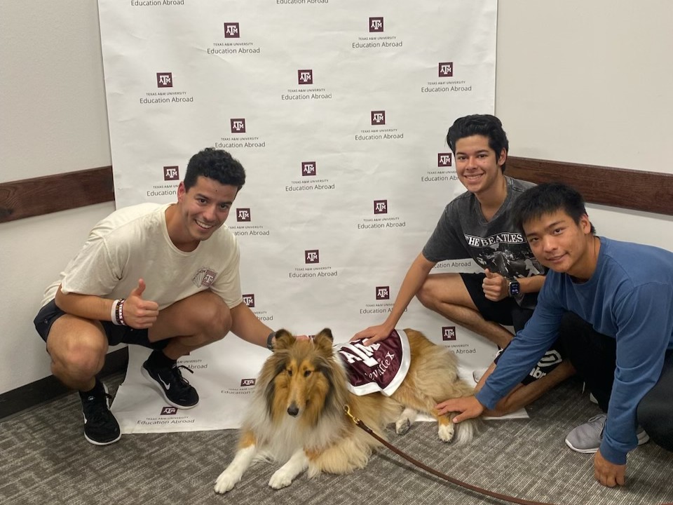 reveille's tweet image. Catching up with some of my favorite familiar faces 🐾Y’all always know my good side. 😉