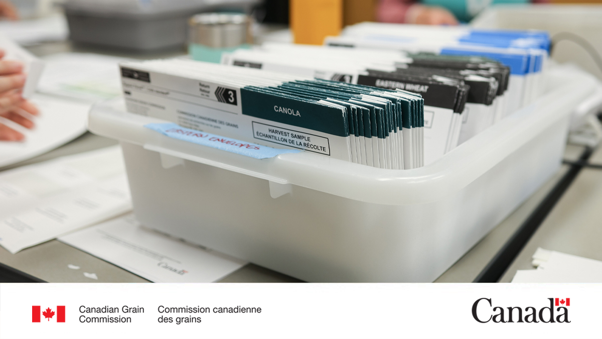 Get an assessment of your grain’s grade this fall and help support our scientific research and grain grade evaluations by signing up for our Harvest Sample Program. 

Learn more: ow.ly/7ckE50WbKsZ