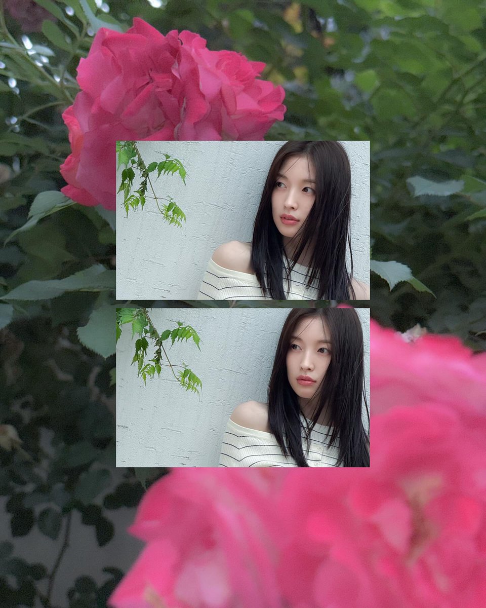 Yayin ₍ᐢ.ˬ.⑅ᐢ₎ tweet media
