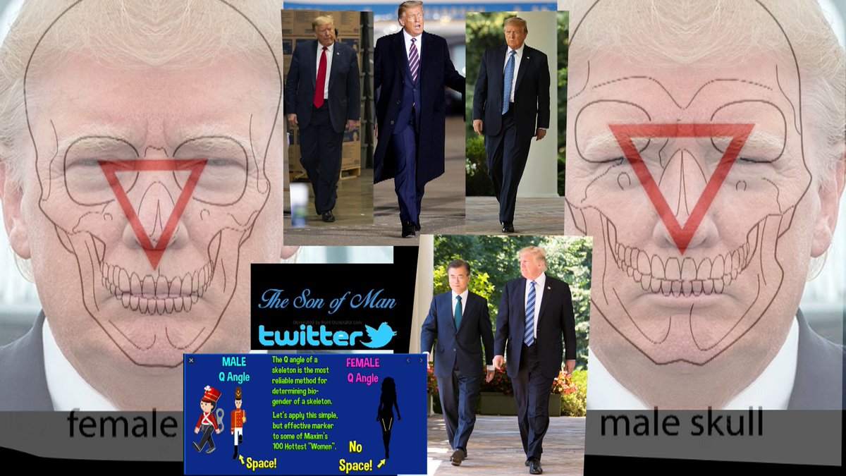 The Son of Man tweet media
