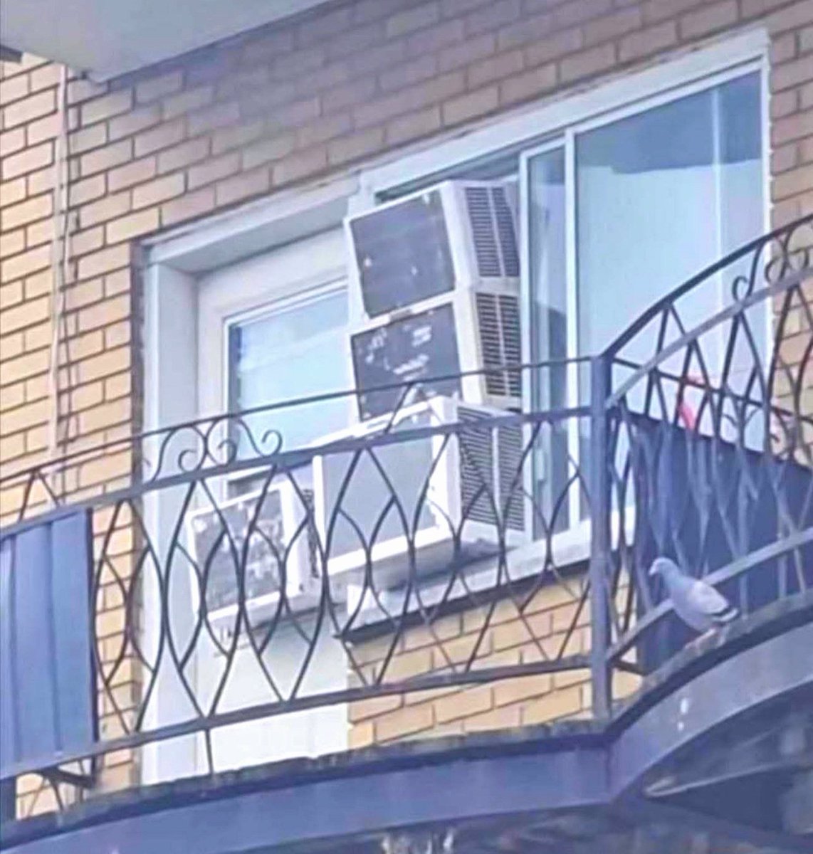 Summer doesn't stand a chance.