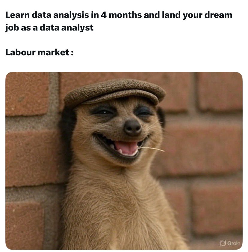 22savager's tweet photo. Life of a data analyst https://t.co/6UNyrEen7h
