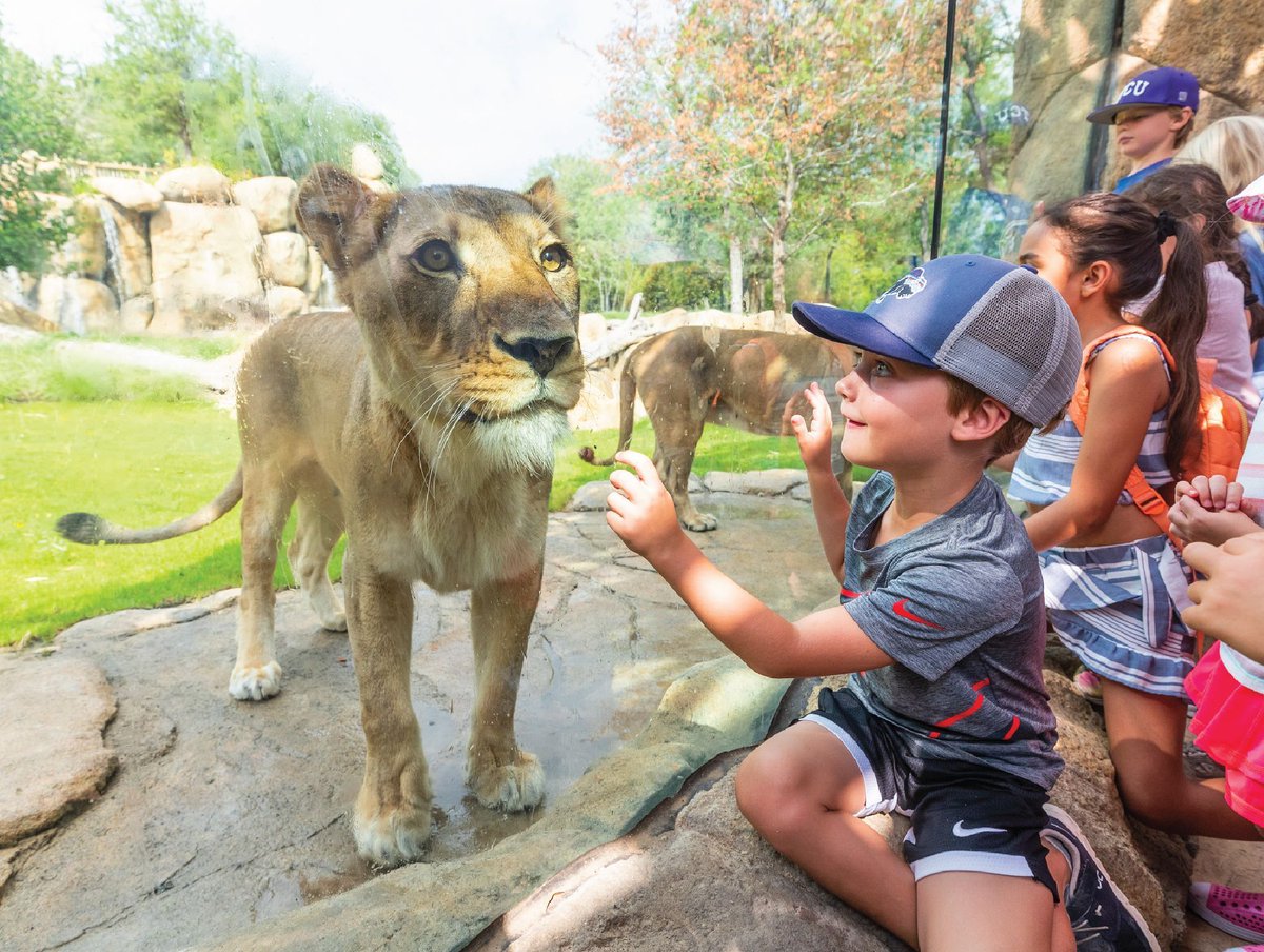 Member Mondays 
June  30
Dallas Zoo
The Zoo opens one hour early, at 9 a.m.,  Mondays in June, just for Zoo members and their guests. 

buff.ly/MI0WUwY .