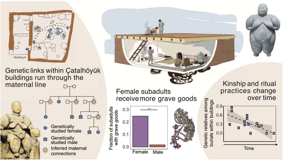 🧬 Çatalhöyük'te aile kan bağıyla değil sosyal bağ ile kurulmuş! Genetik analizler gösteriyor ki, zamanla aynı evde yaşayanlar biyolojik akraba olmaktan çıkıyor. Kız çocukları mezarlarda 5 kat daha fazla hediyeyle gömülüyor. 
🔍 Neolitik sosyal yapının şaşırtıcı hikayesi.