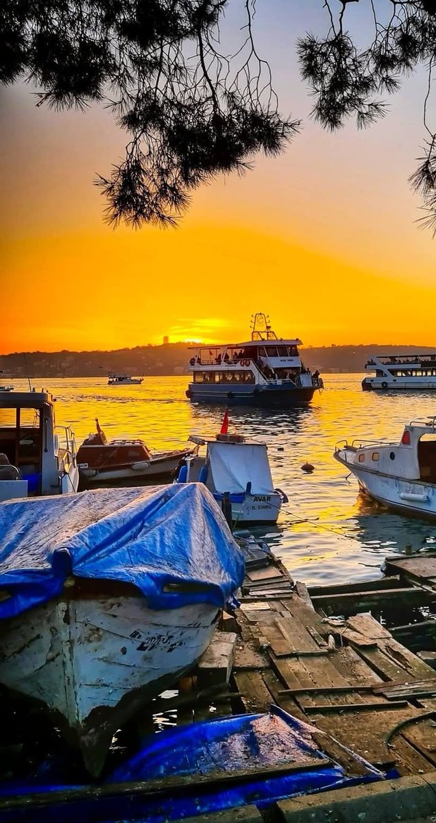 Sevdiklerinizle birlikte huzurlu bir hafta sonu diliyorum arkadaşlar.

ALLAH a emanet olun..