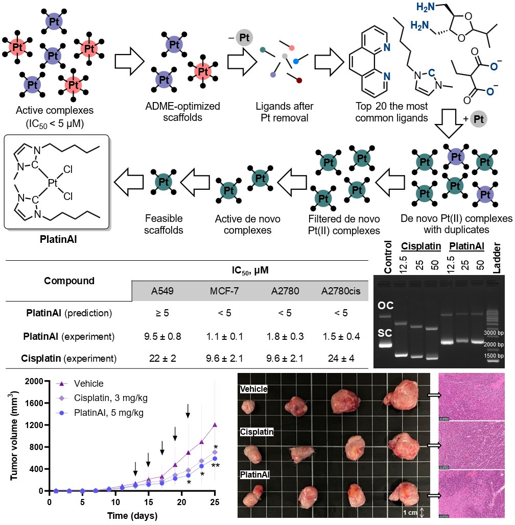 Babaklab's tweet photo. Reminder: Our preprint “Overcoming Cisplatin Resistance via Deep Learning–Assisted Design of Platinum Complexes” is live on ChemRxiv!
We designed PlatinAI—a platinum complex active against cisplatin-resistant cells via a non-DNA-binding mechanism.
Link in comments
#AI #Oncology https://t.co/F8WAL3rP2V