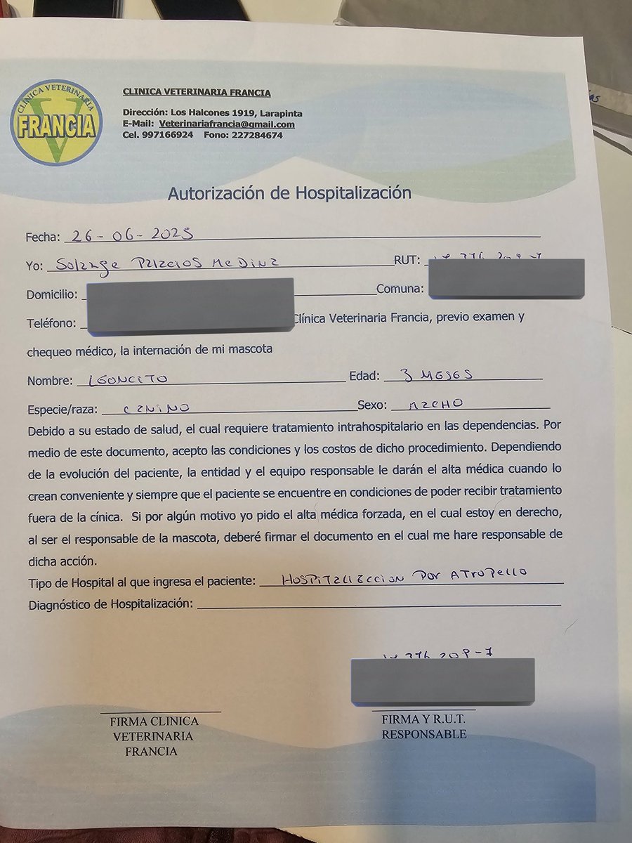 sol_palacios_m's tweet photo. Ayer lo hospitalizamos lo atropello una moto, estuvo tirado por horas, tiene dos fracturas que hay que intervenir, la cabeza femoral de la pierna derecha y la fractura de tibia derecha, es solo un bebe de 3 meses😢ayudemoslo💔🙏
Solange Palacios
Banco estado
Cuenta rut
17376209-7 https://t.co/SJ5C3z9wES