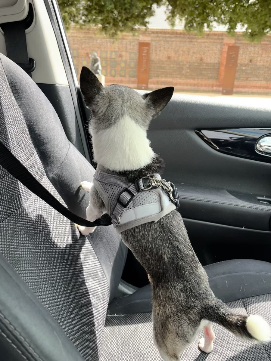 British Bitch 🇬🇧 (@kelly_hickley) on Twitter photo 