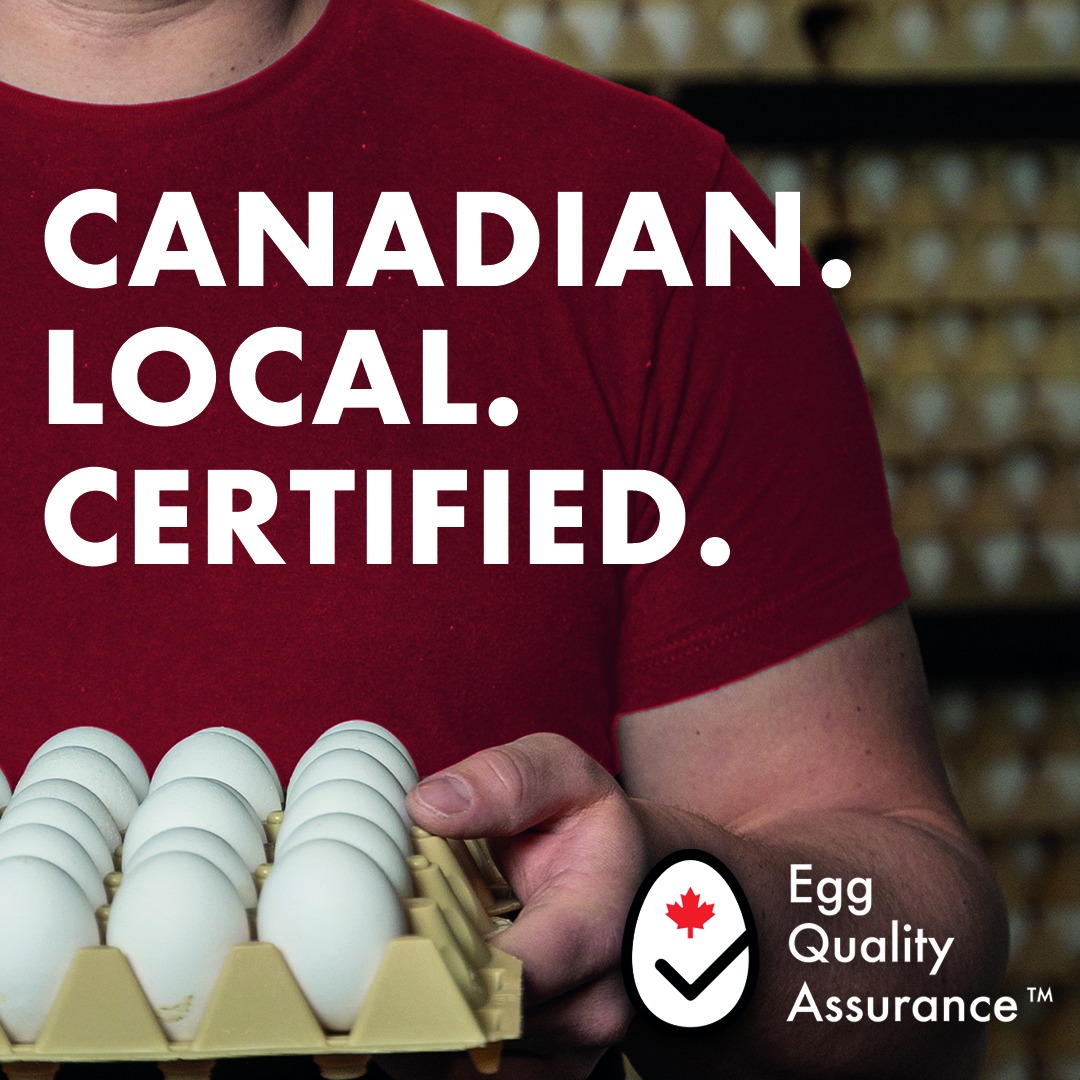 🍁 Happy Canada Day from our farms to your table! 

🍁Did you know?

🥚 Canadian egg farmers produce over 10 billion eggs every year for Canadians. Taking great pride in providing a steady supply of fresh, local eggs in all 10 provinces and the Northwest Territories.
